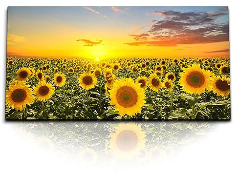 Paul Sinus Kunstdruck Bilder 120x60cm Sonnenblumenfeld Sonnenblumen Gelb Sonnenuntergang
