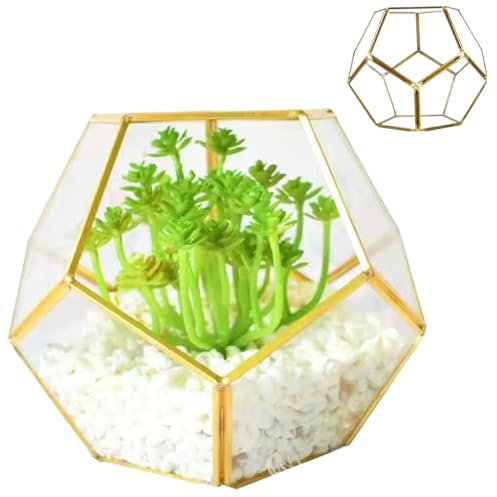 Terrarium de végétal en Verre, 7.1x7.1x5.5 '' Soudage Pentagone Terrarium en Verre avec Porte, Terrarium fermé géométrique pour Les Plantes succulentes en Laiton
