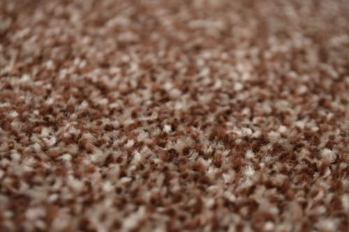 Underfoot Felt Back Carpet 6mm Twist Pile Lounge Stairs Bedroom Carpet | Bleach Cleanable | Stain Resistant | Soft Polypropylene DIY Flooring 4m Wide