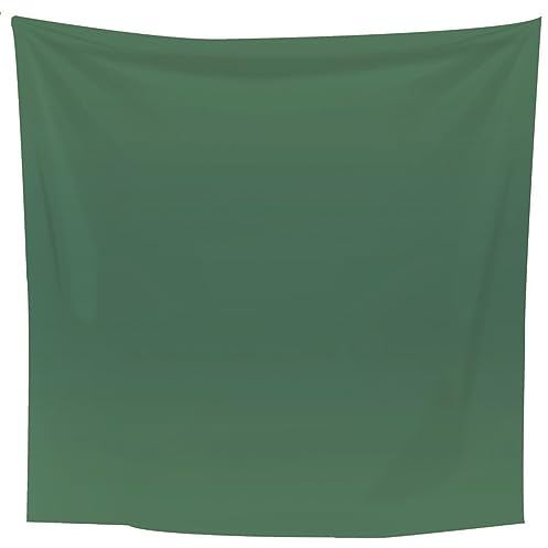 Lieson Wandteppiche Einfarbig Thema, Tuch Wandbehang Grün Wandtuch Tapisserie für Wohnzimmer Schlafzimmer Wohnheim Wanddeko, 210x140CM