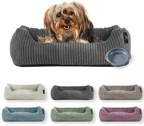 Rohrschneider Hundebett | für kleine Hunde | mit Hundekissen Cord | waschbarer Bezug | inkl. Futternapf (Grau, 55 x 42 cm)