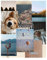 Vision Board Book – Clip Art Magazin Supplies 2023,800+ kategorisierte Bilder und Zitate,Ästhetisches Traumbrett für Visualisierung & Bestätigungen – Stimmungsbrett für Zielsetzung und Manifestation