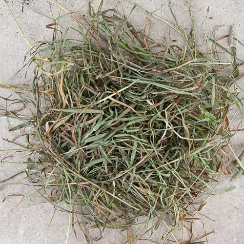 Frischekiste Bunte Vielfalt 5 kg Kaninchenkiste