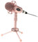 DIYEAH Microphone Set Karaoke Microphone Pedestal Compact Design for Computer Streaming Gaming