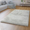 TT Home Wohnzimmer Teppich Hochflor Langflor Schlafzimmer Modern Plüschig Unifarben, Farbe: Grau 3, Größe:80x150 cm