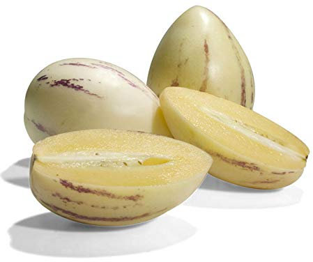 PLAT Firm Germinazione dei Semi: Semi di Pepino Dulce Melone Pera Pepino Frutta 10 PCS esotica!