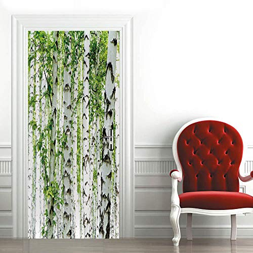 Türaufkleber Birkenwald Türtapete Wandbild Türfolie TürPoster Fototapete 90 x 200 cm