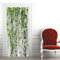 Türaufkleber Birkenwald Türtapete Wandbild Türfolie TürPoster Fototapete 90 x 200 cm