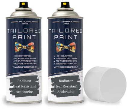 Premium Radiator Aerosol Spray Paint 400ml - Heat Resistant - Quick Drying & No Primer Required - Exterior Surfaces of Radiators, Hot Water Tanks (400ml (2 Pack) Spray, Anthracite Grey Matt)
