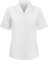 INSAFIANS Women's Short Sleeve Blouse Shirts Open Neck Formal Button-Down Shirt Business Office Casual Wear (WSS 42) White