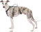 Huntboo Hundegeschirr Ausbruchsicher,Reflektierendes Ganzkörpergeschirr mit Tragegriff,Verstellbare Weste Ohne Zug mit Weicher,Atmungsaktiver Polsterung und Leinenclip für Große Hunde(Schwarz,XL)