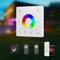 HEXIM 12-48V LED Controller & Fernbendienung - Smart Home & Phone Sprachsteuerung Alexa Google Assistant (modellabhängig) - (TW5 Weiß - 1 Zonen Wandschalter)
