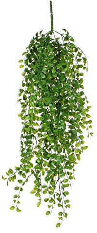 MICA Decorations 1021026 Ficus haengend – L81 cm Artificielle, Plastique, Vert, 81 x 20 x 20 cm