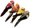 Artificial Foam Feather Birds with Clip colorful sparrow Ornament for DIY Craft Spring Outdoor Garden Tree Decoration 4 Pcs