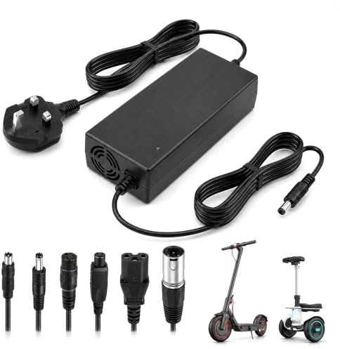 Electric Scooter Charger, Afenau 54.6V 2A Hoverboard Charger with 6 Connections, Compatible with 48V batteries, Electric Bike Charger for Xiaomi Scooter, Electric Bike, Mobility Scooter