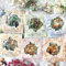 Scrapbooking Bullet Journal Zubehör Stickers 60pcs，Thema Tier Sticker PET Scrapbooking Aufkleber für DIY Aesthetic Scrapbook，Journaling ，Fotoalbum，Calendar, Notebook Album Sticker
