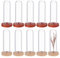 NBEADS 10 Sets Mini Deko Glasglocke mit Holzboden, 4x1.2cm Runde Transparente Glasbox Dome Cloche Glas Display Klare Dekorative Vitrine Mit 2 Farben Holzsockel Für Tafelaufsätze Pflanzen Steine Proben