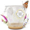 Caterpillar Refill Set - 1 Caterpillar Cup (5-7 Caterpillars) | Ideal Addition to Butterfly Shabitate | Grow Butterflies with [Guarantee of Success] | Home Butterflies - Thistle Butterflies