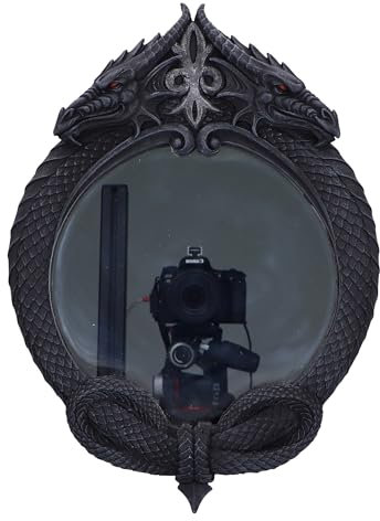 Nemesis Now The Reflector Double Dragon Mirror 36cm, Resin Black, Dragon Wall Mounted Mirror, Cast in The Finest Resin, Expertly Hand Painted