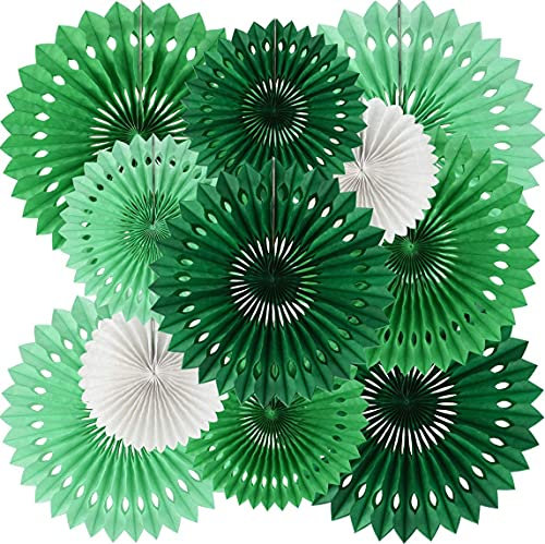 Green White Party Decoration Hanging Honeycomb Round Paper Fans Kit for Dinosaur Theme 1st Birthday Baby Boys Kid Shower Summer Forest Carnival Photo Booth Backdrops Paper Party Supplies（11packs） …