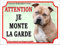 Plaque Attention Chien amstaff monte la garde métal Aluminium 15 cm x 20 cm American Staffordshire Terrier monte la garde modèle marron1