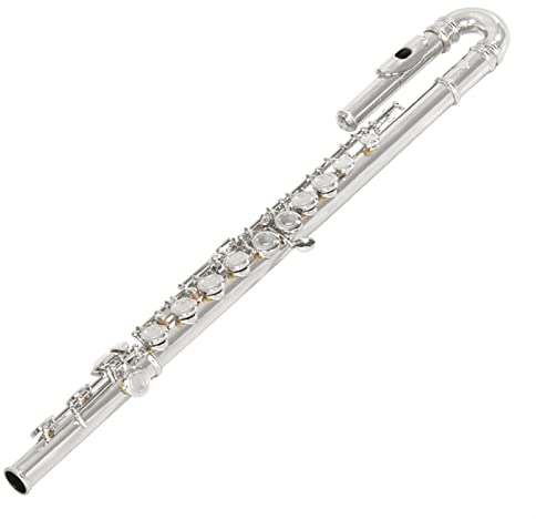 Zengxue Querflöte Anfänger Alt-Flöte Gebogene Headjoints Split 16 Tasten Geschlossene Loch C-Tune Nickel Silber Mit Fall