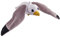 Wild Republic Pocketkins Eco Möwe, Plüschtier, 12 cm, Plüschspielzeug, Hergestellt aus recycelten Materialien, Umweltfreundlich, White