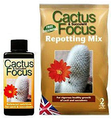 Portal Cool Cactus And Succulent Focus Repotting Mix + 100Ml Cactus Focus Nutrients