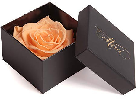 Konservierte Rose 3 Jahre haltbar Geschenkbox Danksagung Rosengesteck (1 Rose, Peach)