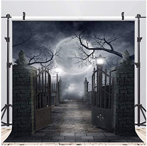 AIIKES 8x8FT Retro-Stil Halloween-Thema Malerei Vinyl Fotografie Hintergrund Schwarz Mond Foto Studio Requisiten 10-704