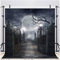 AIIKES 8x8FT Retro-Stil Halloween-Thema Malerei Vinyl Fotografie Hintergrund Schwarz Mond Foto Studio Requisiten 10-704