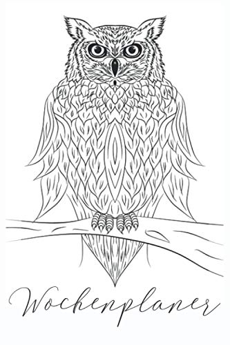 Wochenplaner 2021 A5: DIY Terminplaner zum selbst beschriften, 120 Seiten, 6x9 Inc., mysteriöser Eulen Planer, Jahresplaner, Wochenkalender, Organizer
