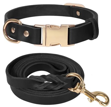 LWBMG Hundehalsband und Leine, Leder, strapazierfähig, mit Metallschnalle, verstellbares Haustierhalsband-Set, weiche Welpenleine und Halsband, Set für mittelgroße und große Hunde, 1,8 m, Schwarz