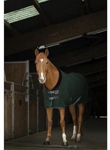 Abschwitzdecke mit Polarfleece Teddy EquiTheme grün/braun 145cm