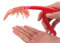 Pelador de gambas Dispositivo de pelado de camarones Herramientas de cocina creativas Pelador De Tomates Rojo
