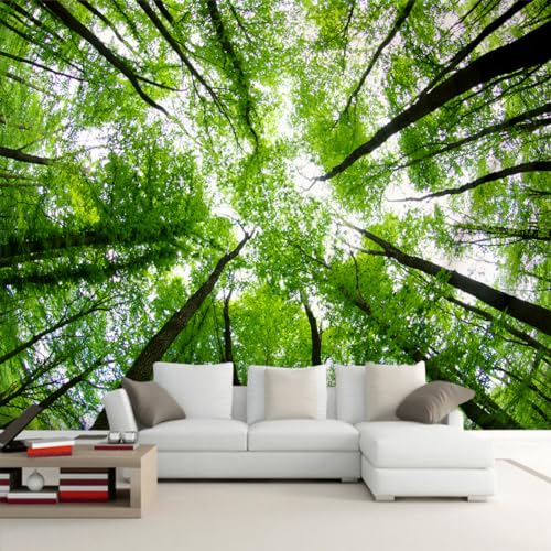Arsey Wandteppich Wald Sky Wandbehang Natur Landschaft Wandteppiche Aesthetic Wandtücher Wanddecke Wandbespannung Wandtuch xxl Deko Wohnzimmer, Grün, 200x150cm