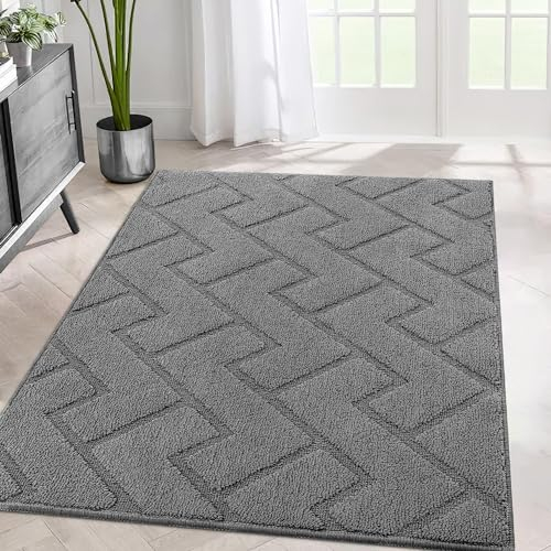 Biscpro Teppich Läufer,80x120cm Waschbarer rutschfest Schmutzfangmatte Teppich läufer für Eingangsbereich Wohnzimmer,Flur,Büro,Schlafzimmer,Küchen-Grau