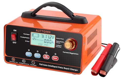 AUTTGINN AUTTGINN 12V 24V Einstellbares Batterieladegerät Maintainer, 0-20A Einstellbare Autobatterie Erhaltungsladegerät mit Batterie-Desulfator für Blei-Säure LiFePO4 Lithium-Batterien, AGM Gel Deep