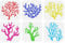 FINGERINSPIRE 6 Stück Korallen Malschablone 15x15 cm Wiederverwendbar 6 Stile Meeresbewohner Korallen Zeichenvorlage DIY Sommer Ozean Thema Dekor Schablone Zum Malen Auf Holz Wand Stoff Möbeln