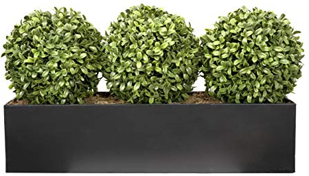 Topiary Ball (54cm) Window Box Black, Triple