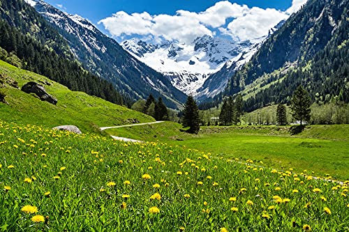 Papier Peint Photo INTISSÉ-ALPES-(FP5316)-500x280 cm-Paysage Montagnes Panorama Lac Forêt Prairie Fleurs Soleil Riviére Murale XXL Poster Géant Affiche Décoration