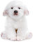 lilizzhoumax Hund maltesischer Plüschtier 38cm/15”, Simuliertes Tier Hund Plüschtier Kawaii Hund Kuscheltier Realistische Hund Plüsch Spielzeug für Wilde Tiere, Geschenk für Freunde und Kinder