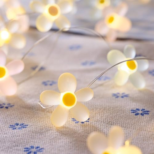 Lights4fun 20 Warm White Micro LED Battery Operated Flower Decorative String Fairy Lights with Timer 2.4m Indoor and Outdoor Use