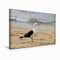 Premium Textil-Leinwand 45 x 30 cm Quer-Format Kalifornienmöwe (USA), Leinwanddruck von Jana Thiem-Eberitsch