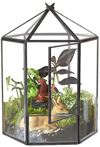ELEGANTLIFE Geometrisches Pflanzenterrarium aus Glas, Sukkulenten und Luft-Pflanzgefäß für Zuhause, Garten, Büro, Dekoration, keine Pflanzen (schwarz, sechseckig)