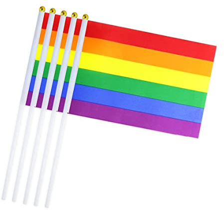 Regenbogen-Stick-Flagge, kleine Hand-LGBT-Flaggen, Mini-Gay-Lesben-Pride-Festival-Flaggen, 10 Stück