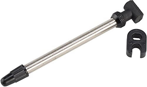 Dt Swiss Unisex – Erwachsene Tubeless MTB Ventil, Silber, 66-80 mm