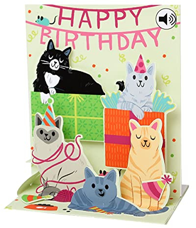 SOUND Pop Up 3D Karte Geburtstag Musik Haustier Familie 18x13cm