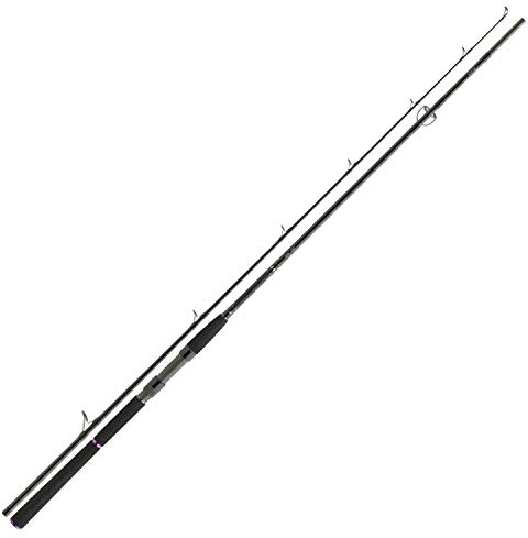 Daiwa Prorex Spinnrute X Troll & Board, 3.00m 120g