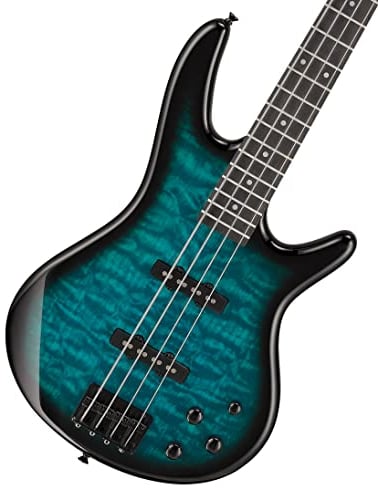 Ibanez Gio GSR280QA-TMS Transparent Marine Sunburst - E-Bass